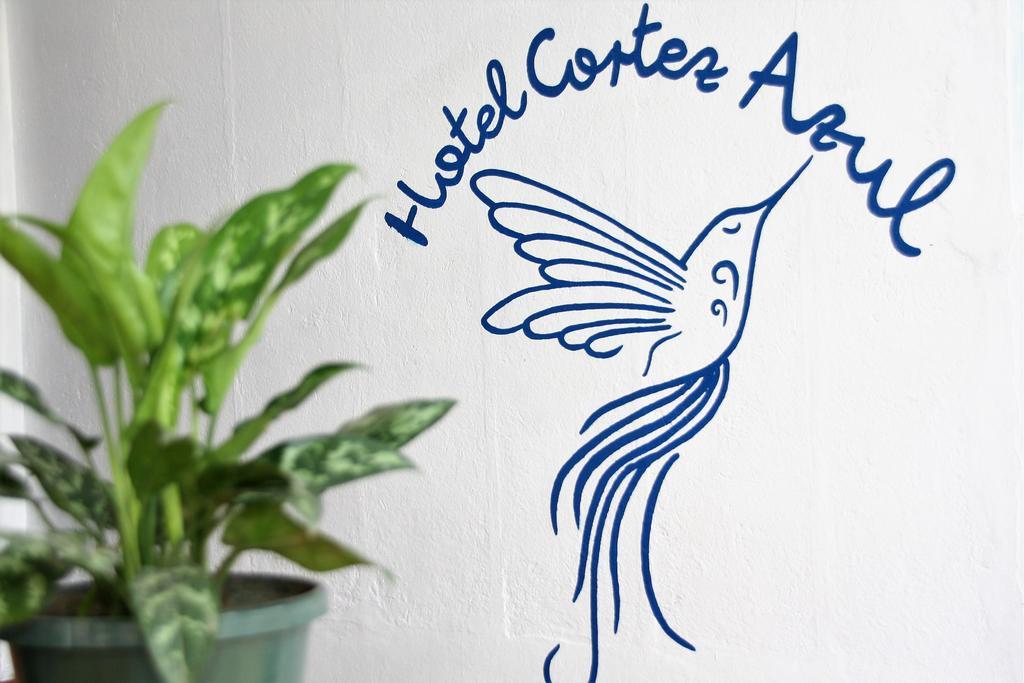 ألاخويلا Hotel Cortez Azul المظهر الخارجي الصورة